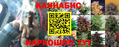 стаф Кинель