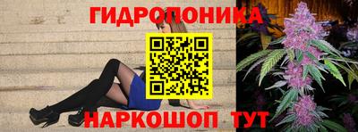 стаф Кинель