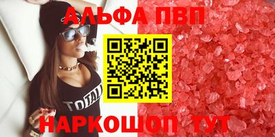 стаф Кинель