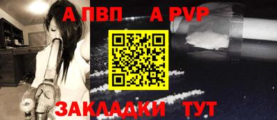 стаф Кинель