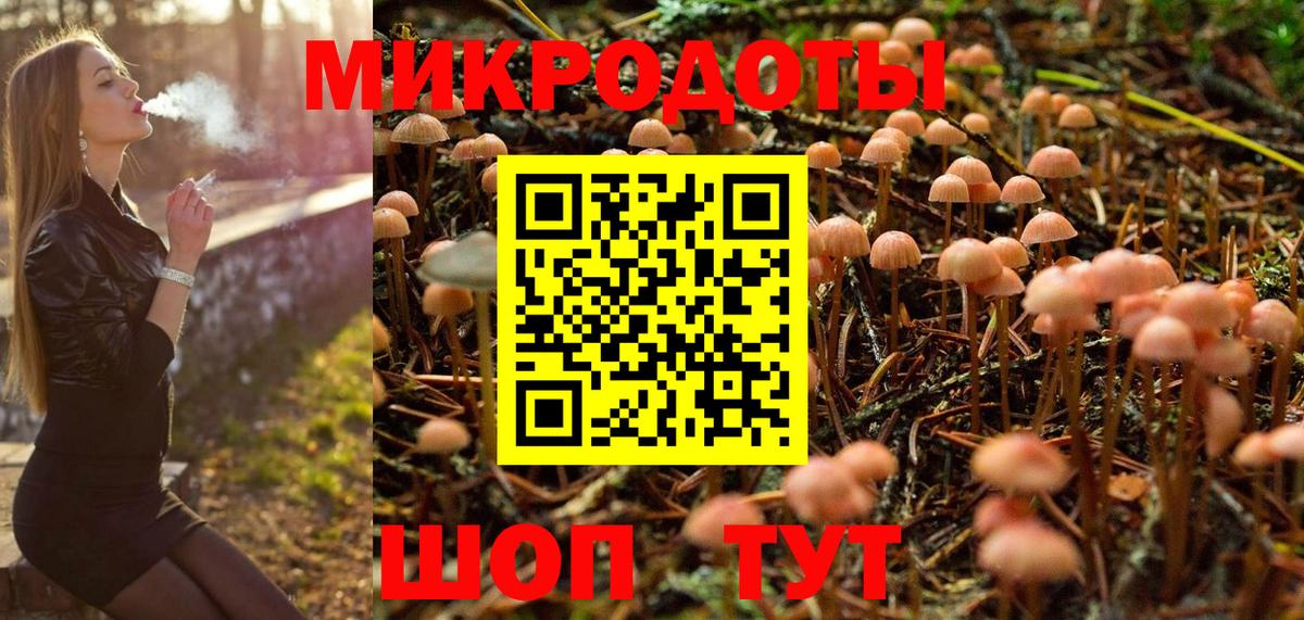 Ковров  Галлюциногенные грибы прущие грибы  Вход с VPN 